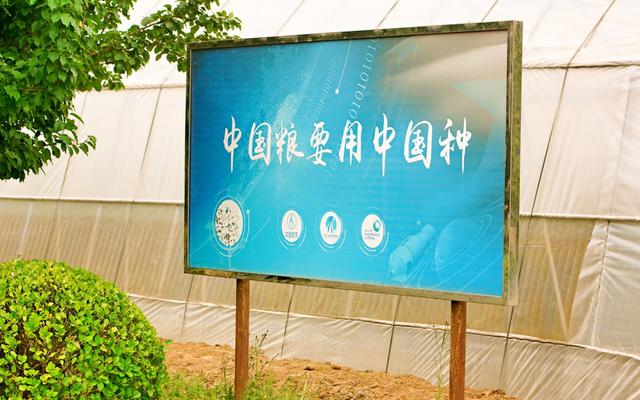 什么是種子處理？你有了解嗎？